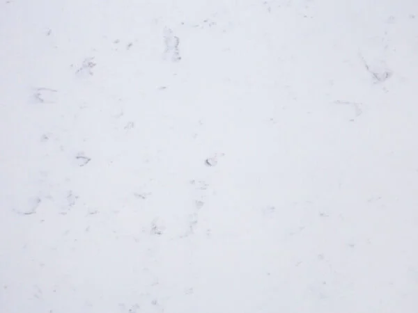 Carrara Piccolo Quartz STW CARRPI