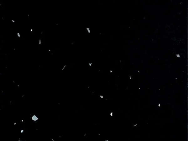 Starlight Black Quartz STW STARBL