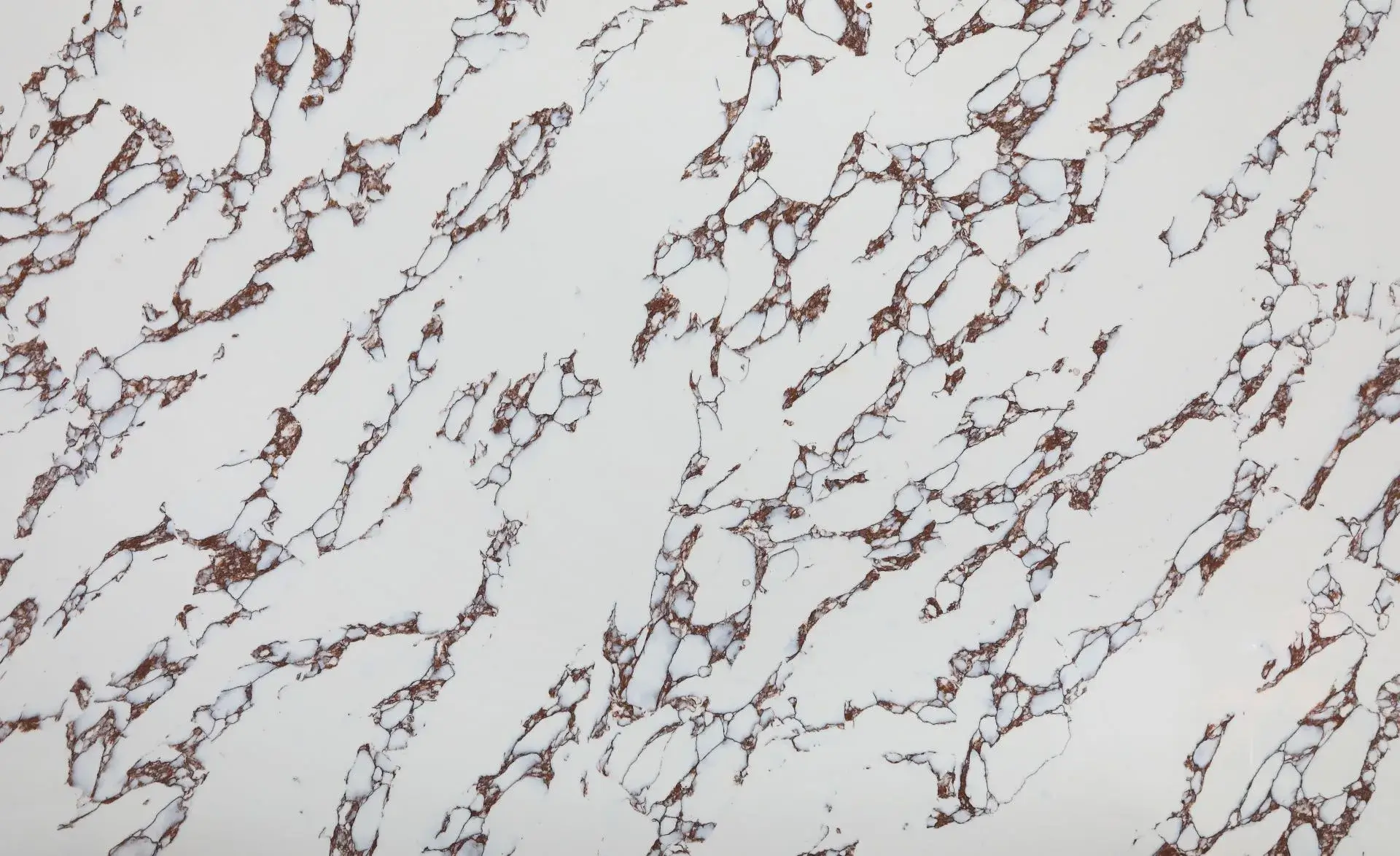 Arabescato-Viola-Quartz-CQS-ARAVIO-slab