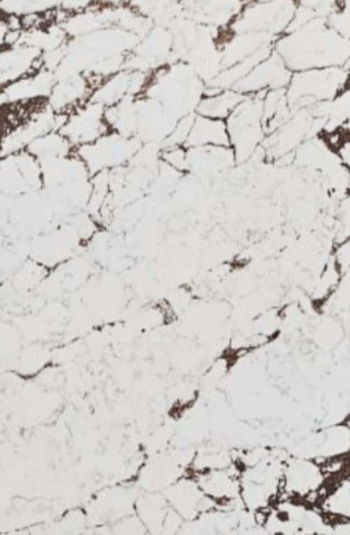 Arabescato Viola Quartz Worktop