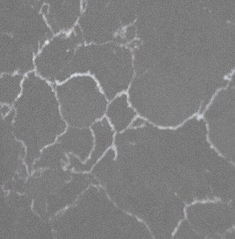 Ancient Grey Quartz ART-ANCGRE