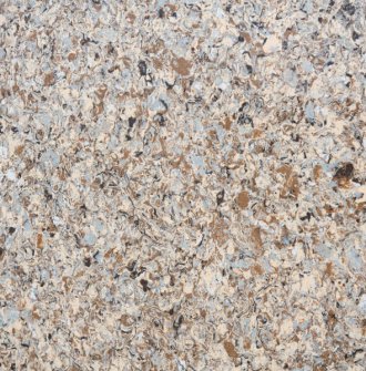 Marlin-Gold-Quartz-ART-MARGOL